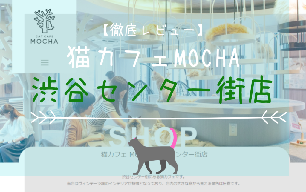 徹底レビュー 猫カフェモカ 渋谷センター街店を体験レポート 東京都 エリア別おすすめ猫カフェ特集