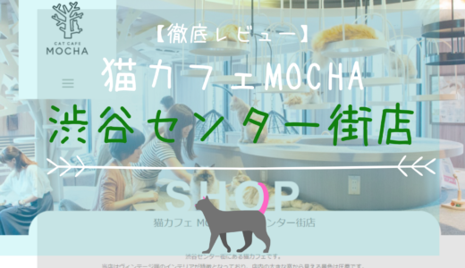 【徹底レビュー】猫カフェモカ 渋谷センター街店を体験レポート！