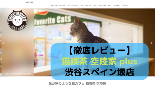 厳選 渋谷でおすすめの猫カフェランキング 東京都 エリア別おすすめ猫カフェ特集