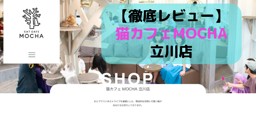 【徹底レビュー】猫カフェモカ 立川店を体験レポート！