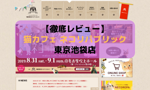 【徹底レビュー】猫カフェ ネコリパブリック 東京池袋店を体験レポート！