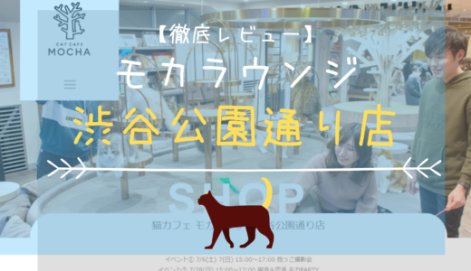 【徹底レビュー】猫カフェモカラウンジ 渋谷公園通り店を体験レポート！