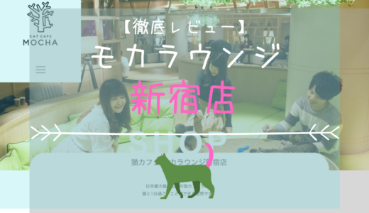 【徹底レビュー】猫カフェモカラウンジ 新宿店を体験レポート！
