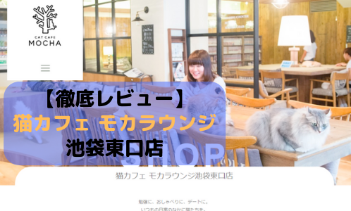 【徹底レビュー】猫カフェモカラウンジ 池袋東口店を体験レポート！