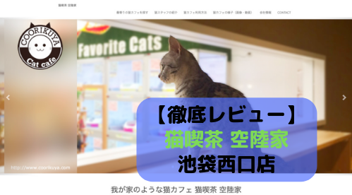 【徹底レビュー】猫喫茶 空陸家 池袋西口店を体験レポート！