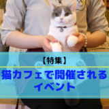 厳選 秋葉原でおすすめの猫カフェランキング 東京都 エリア別おすすめ猫カフェ特集