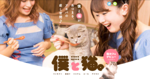 厳選 秋葉原でおすすめの猫カフェランキング 東京都 エリア別おすすめ猫カフェ特集