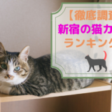 厳選 秋葉原でおすすめの猫カフェランキング 東京都 エリア別おすすめ猫カフェ特集