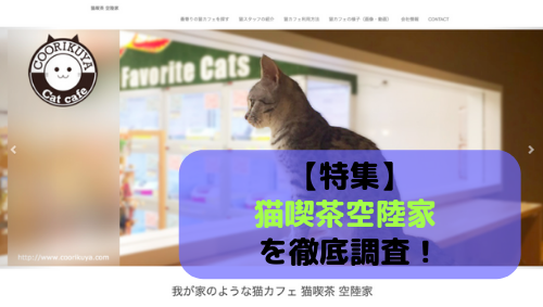 特集 猫喫茶空陸家 を徹底調査 全店舗情報を網羅してお伝えします 東京都 エリア別おすすめ猫カフェ特集