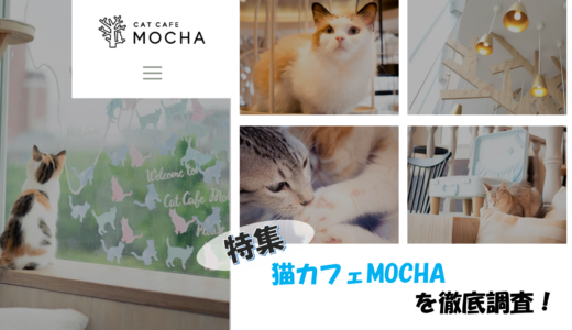 猫カフェモカ【2020年最新】全16店を調べまし た！口コミ・写真・評判を行く前に知る！可愛いMOCHAネコの写真あり